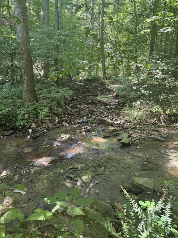 Picture 10