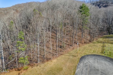 Roan Mountain Building Lot