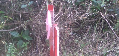 Acre Lot in Mountain View