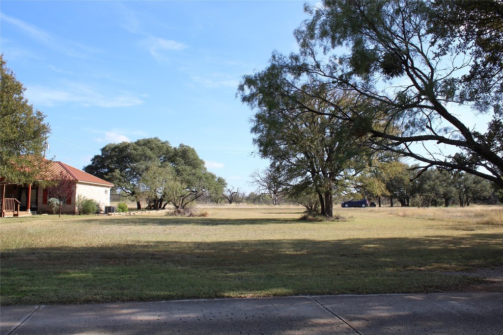 Picture 10