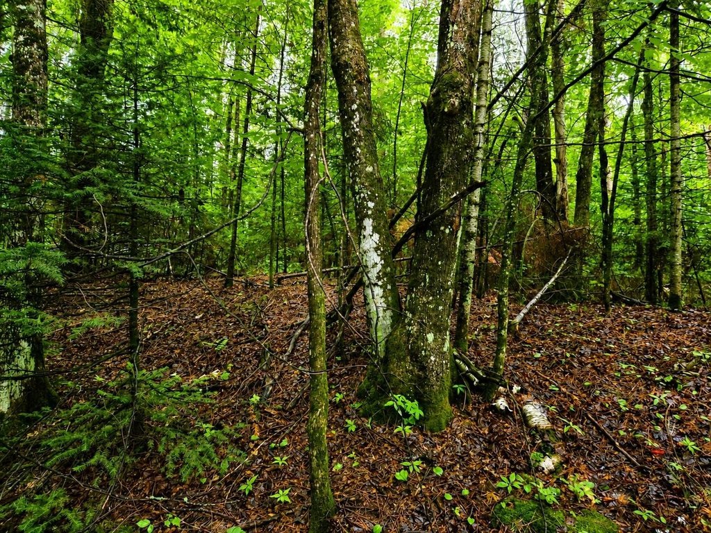 Picture 8