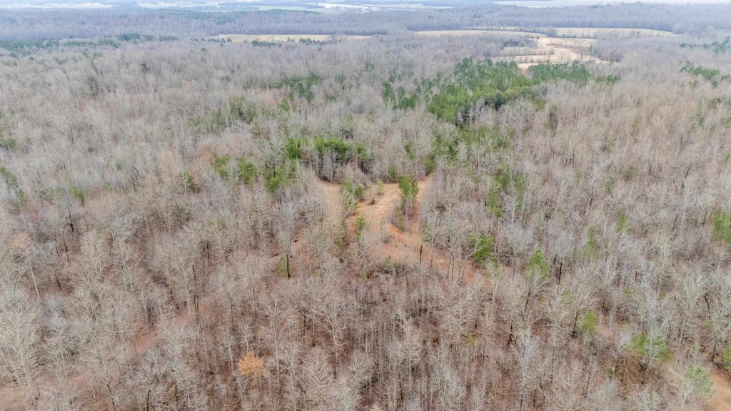 Picture 36