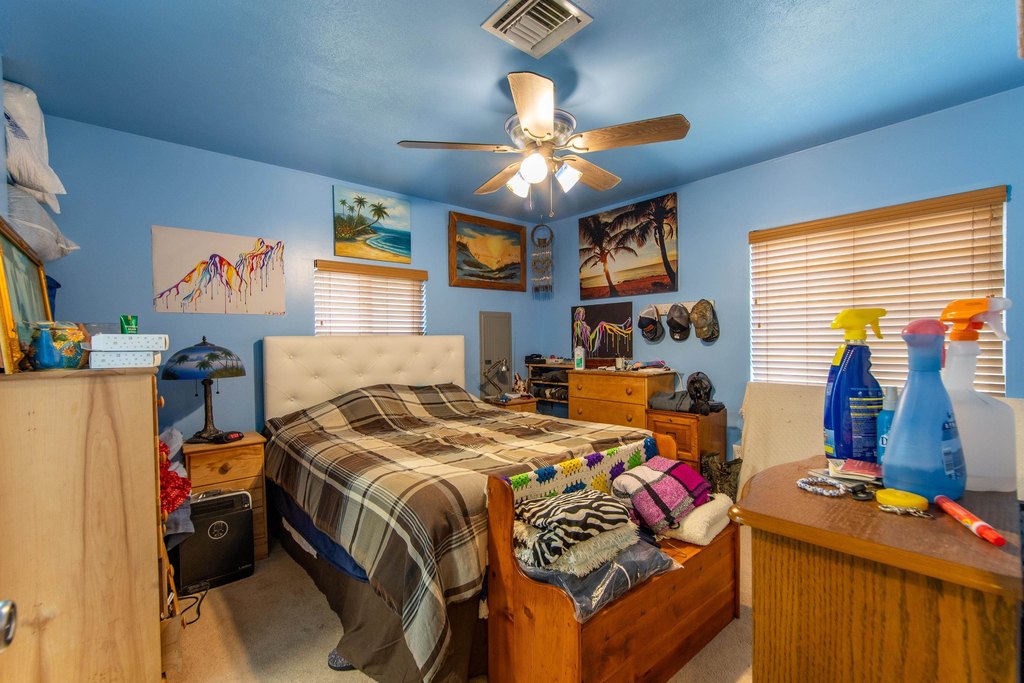 Picture 8