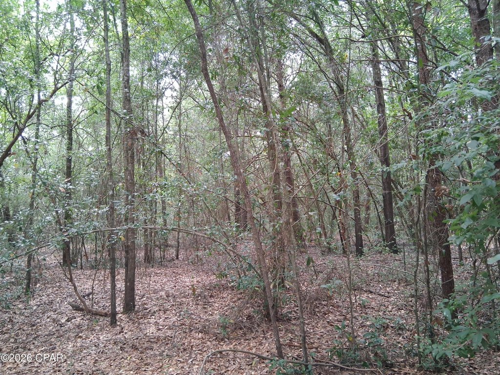 Picture 3