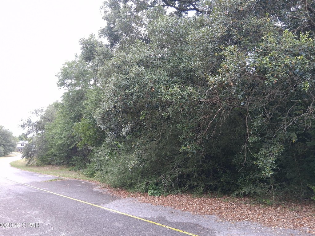 Picture 4