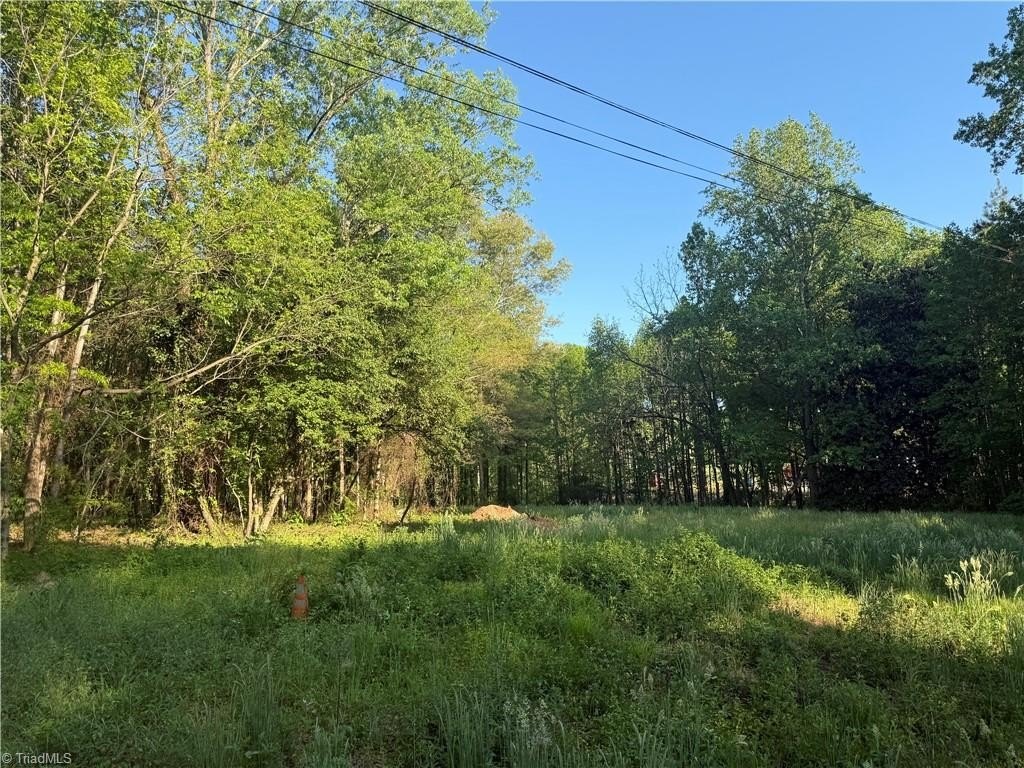 Yadkinville Acreage in Wine Country