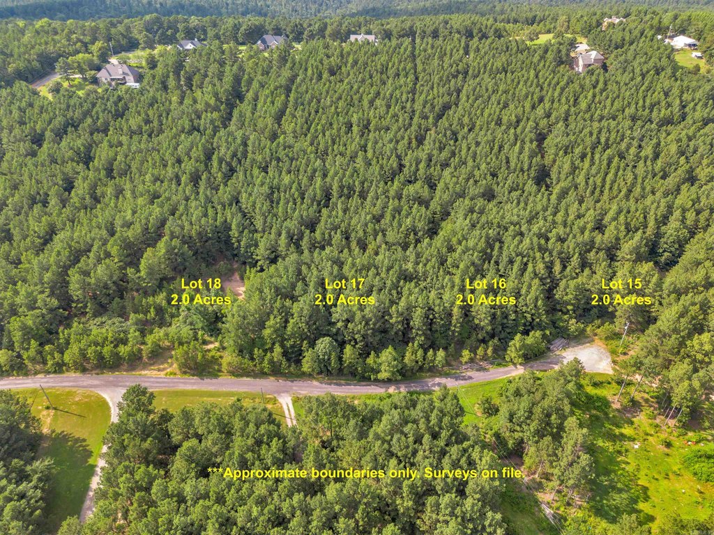 Picture 12