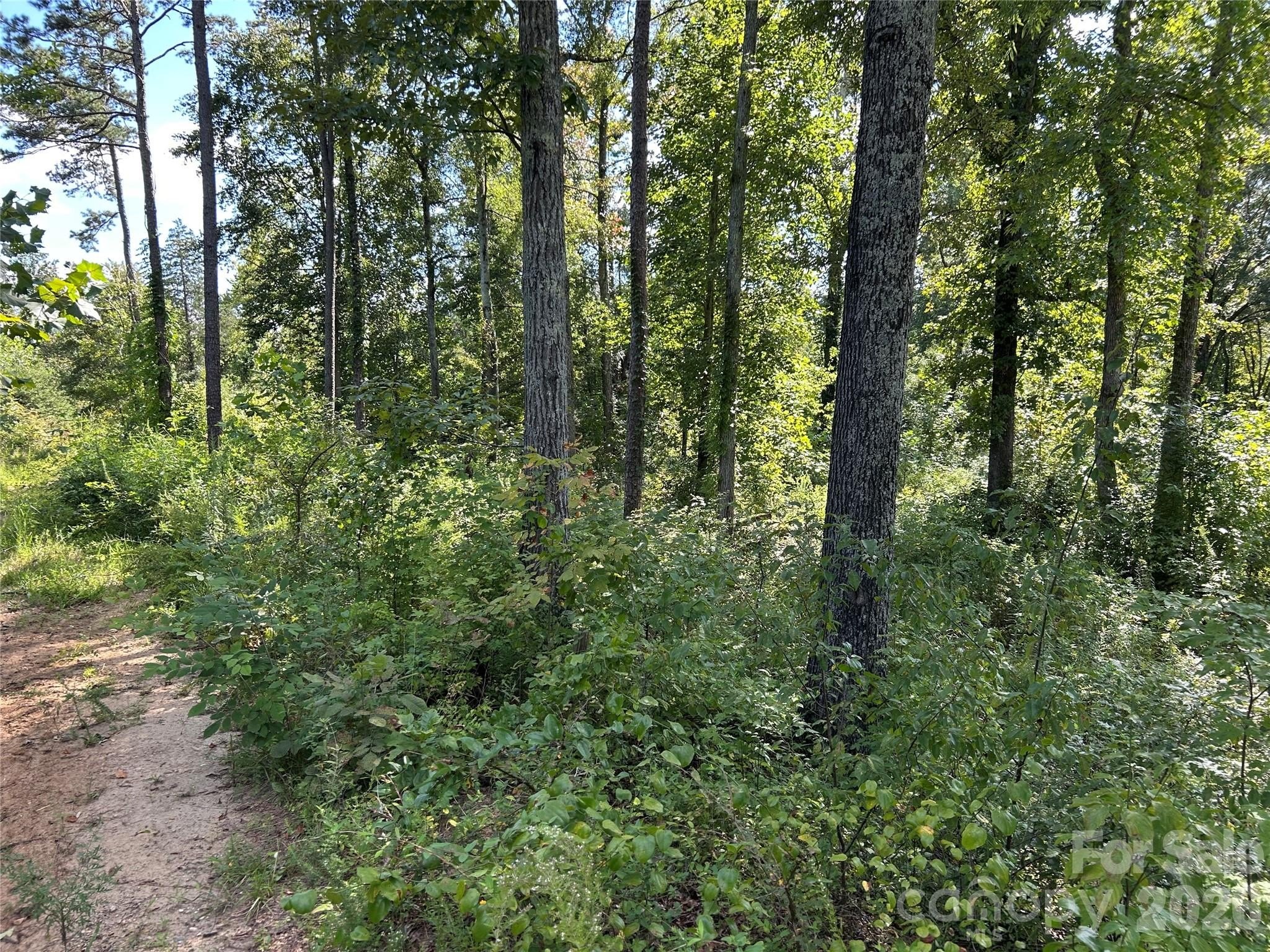 Residential Land in Mocksville, NC
