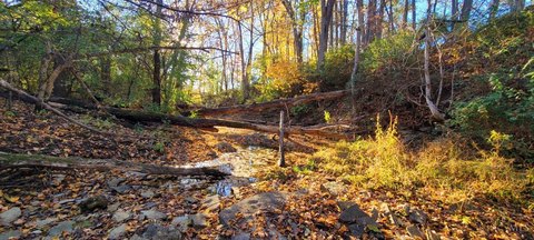 Land in Tate Twp, OH