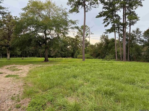 Livingston Land Near I-12