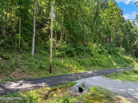 Sevierville, TN Land in Shagbark