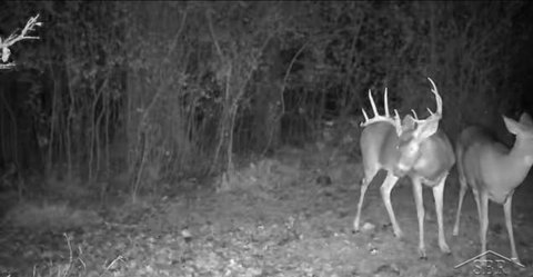 61.11 Acres Near Beaverton