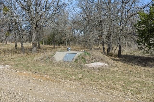Picture 11