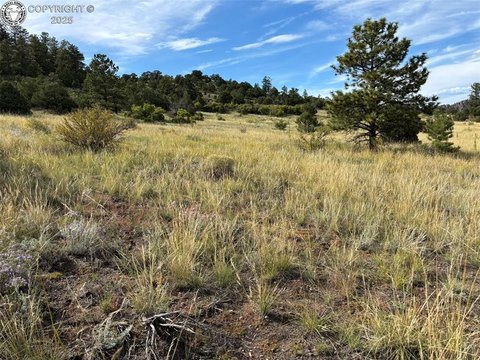 Westcliffe Land with Mountain Views