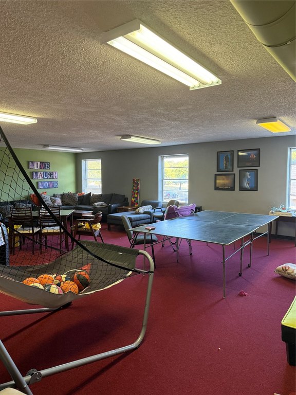 Picture 16