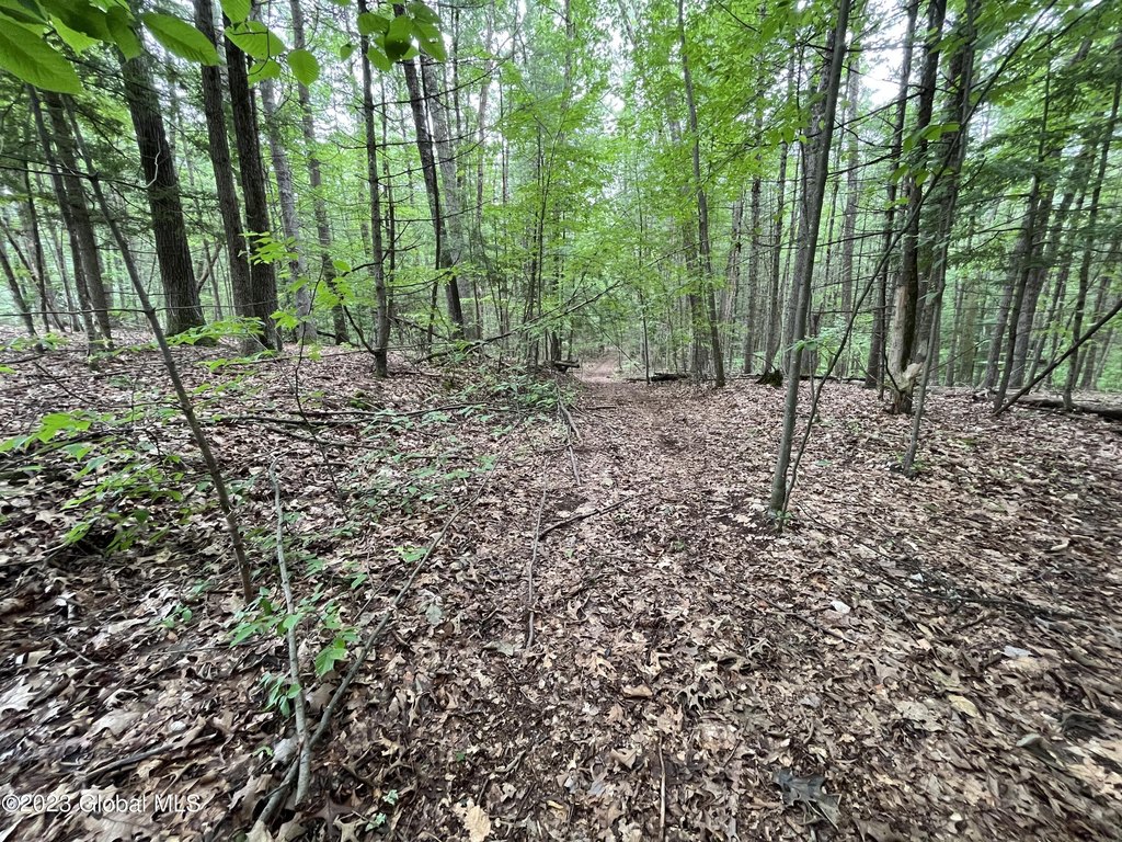 Picture 8