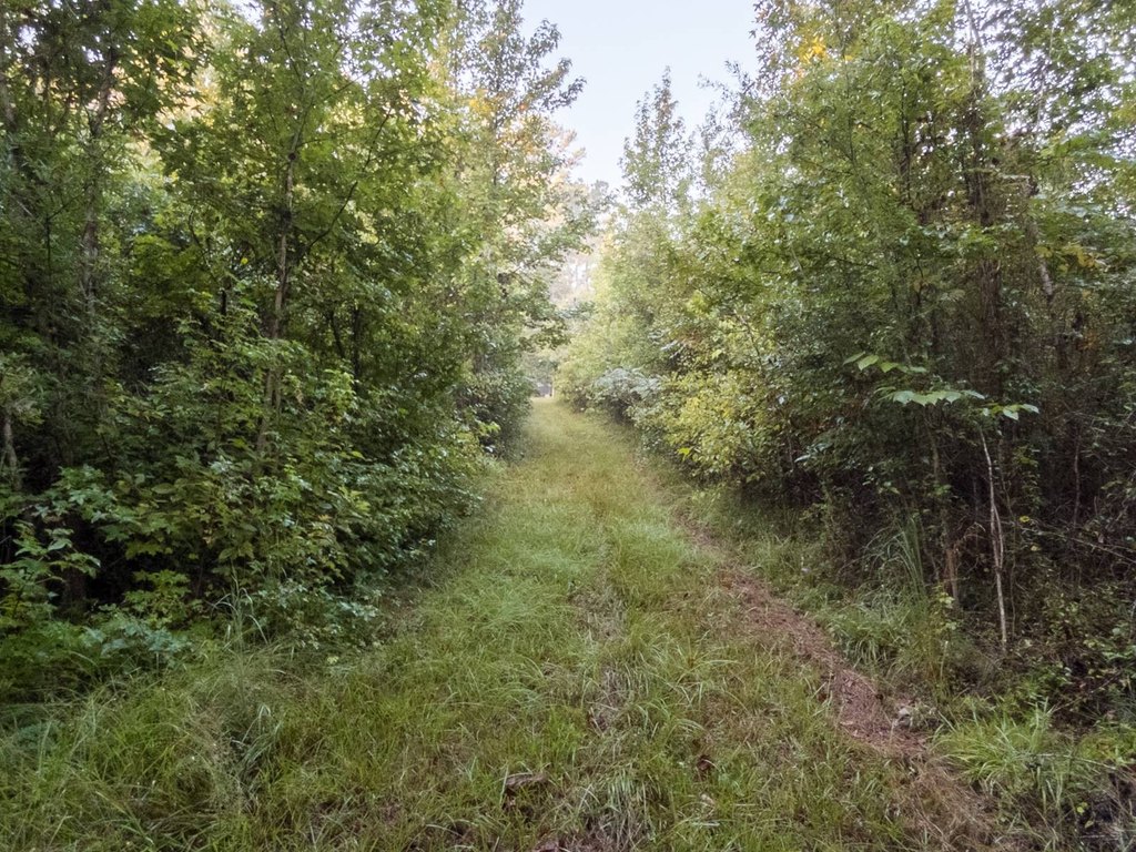 Picture 20