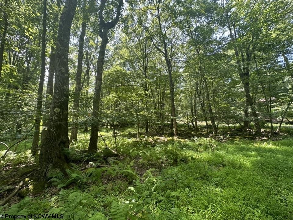 Picture 30