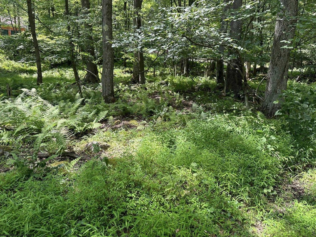 Picture 8