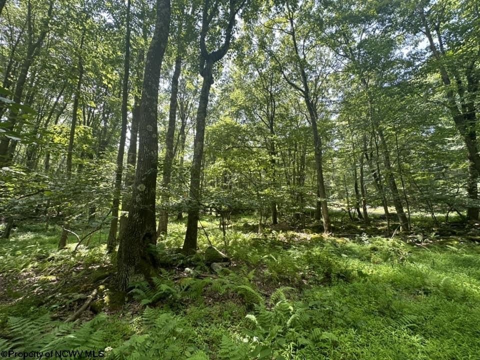 Picture 12