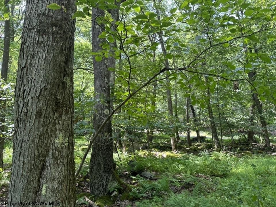 Picture 28