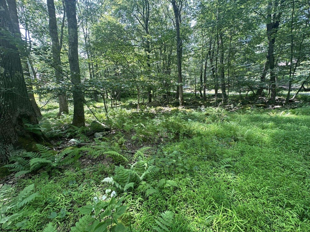 Picture 16