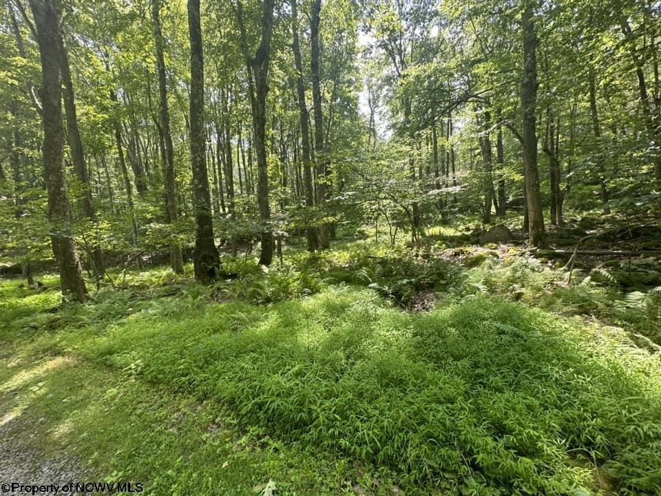 Picture 29