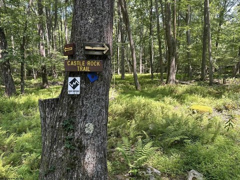 LAND - Terra Alta, WV