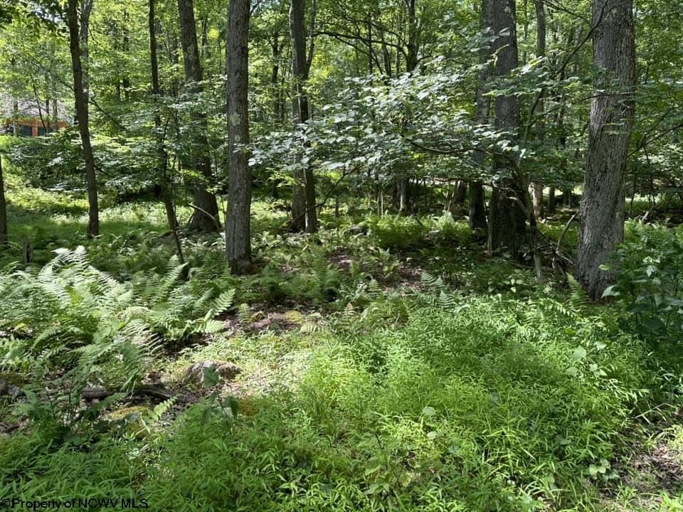 Picture 17