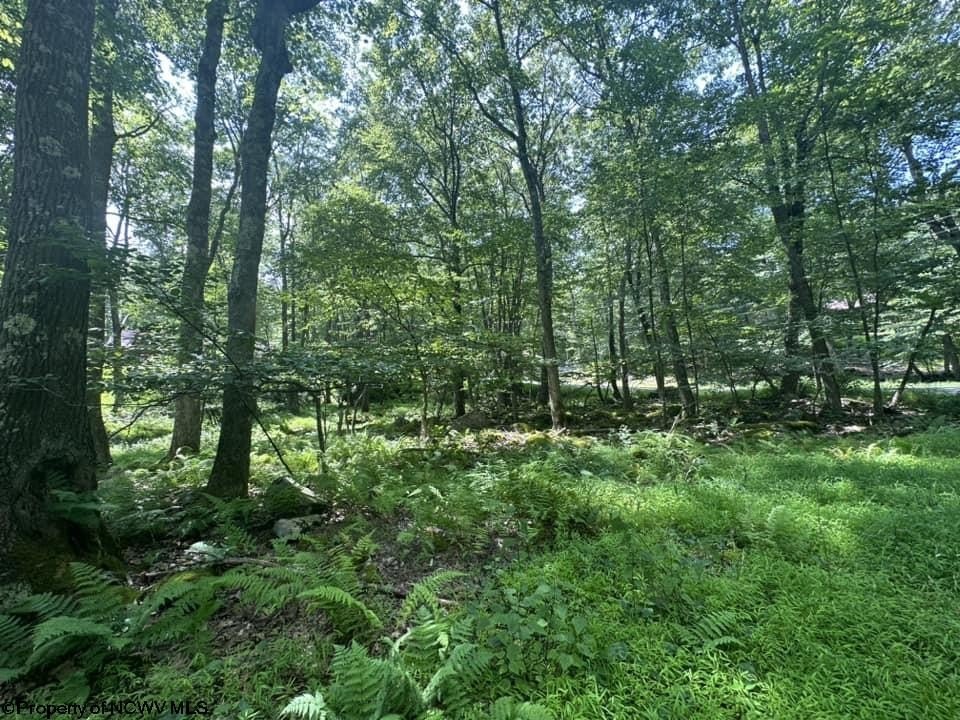 Picture 2