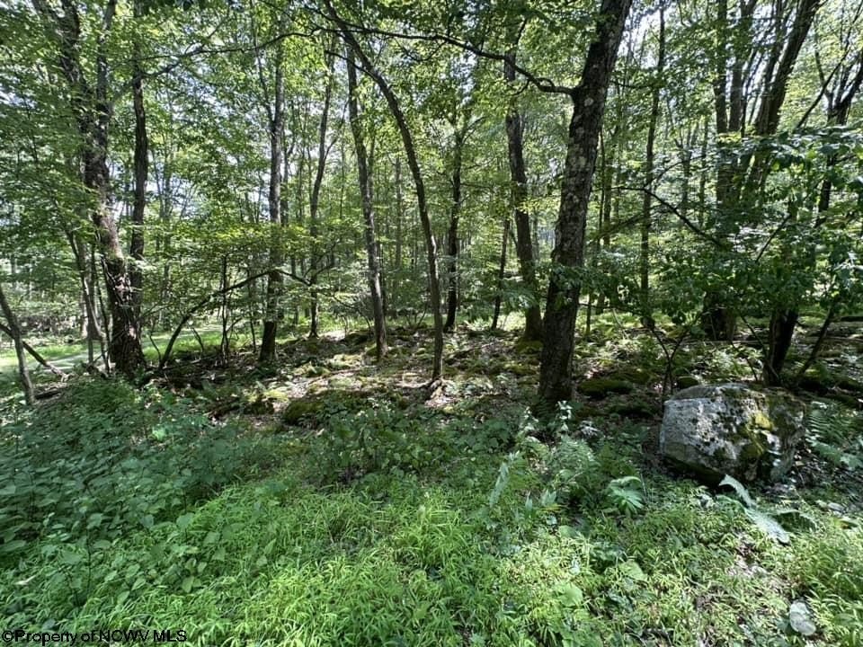 Picture 11