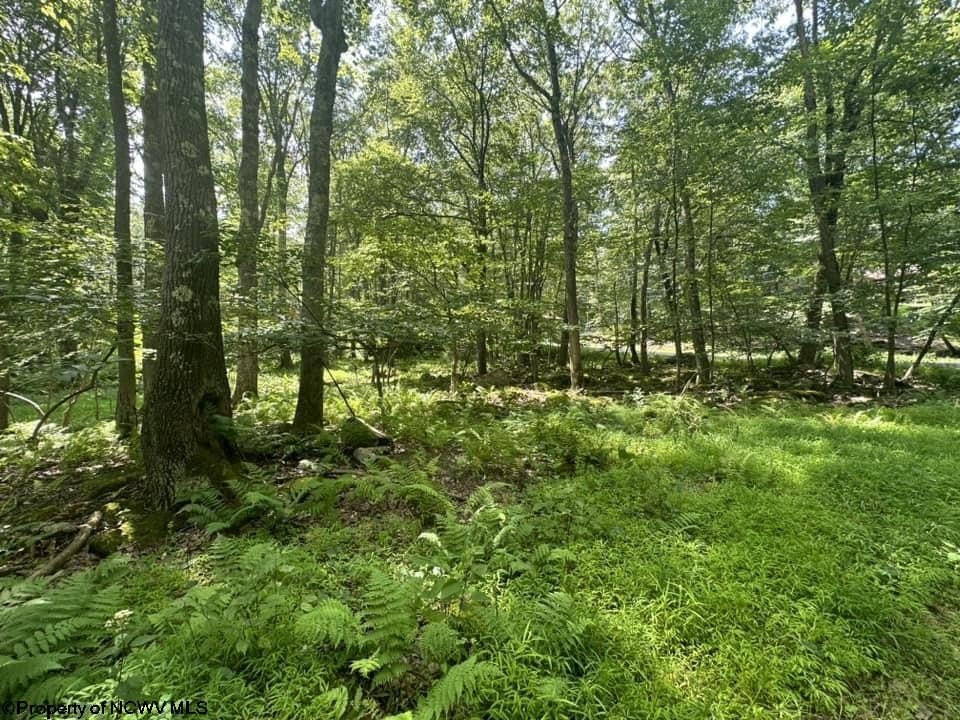 Picture 19