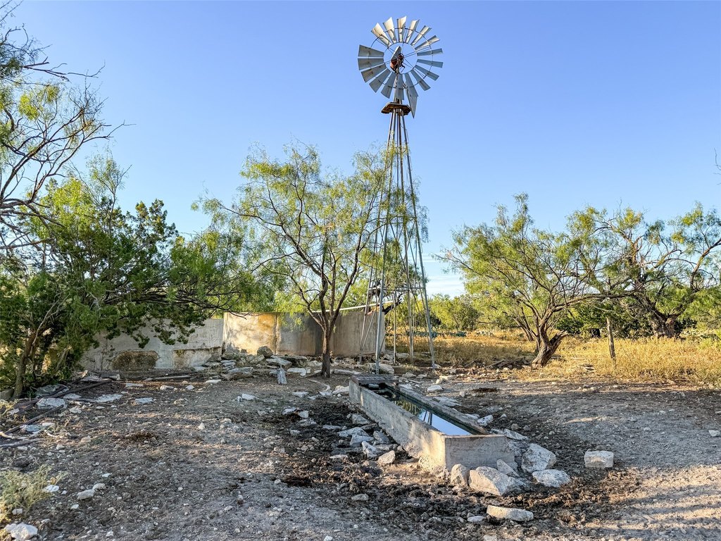 Picture 24