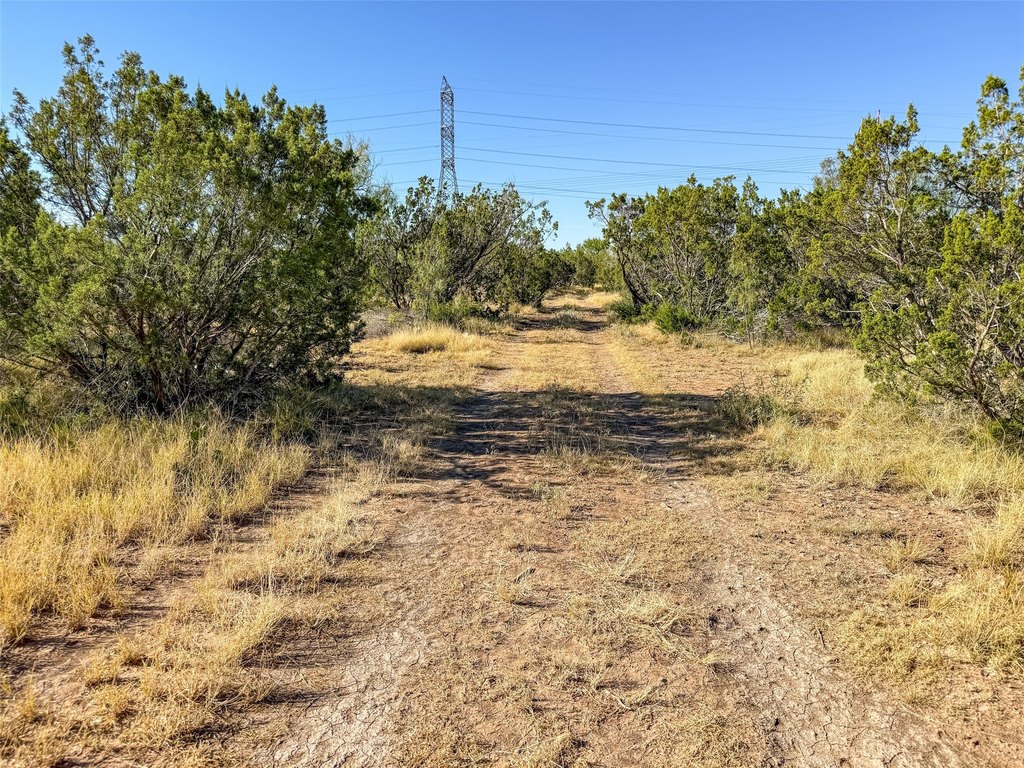 Picture 28