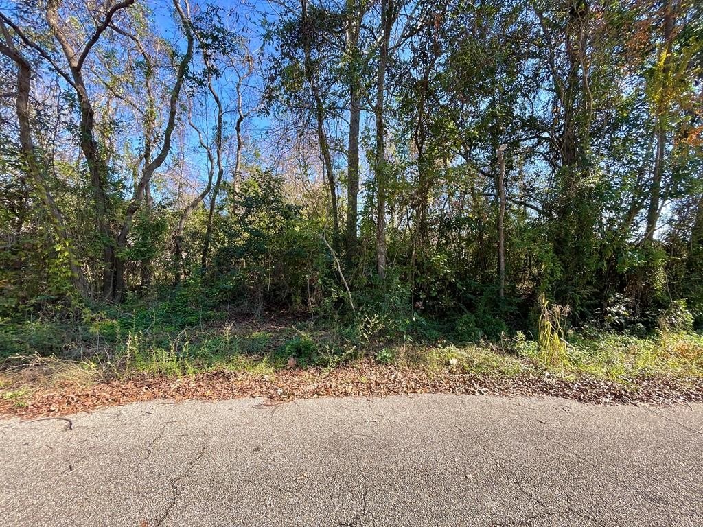 Vacant Land in Picayune, MS