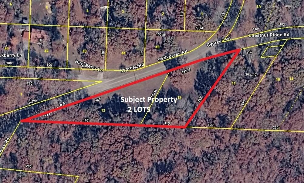 Picture 3