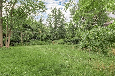 Land, Cleveland, OH