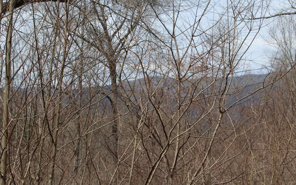 Picture 9