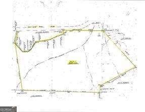 Undeveloped Acreage with Road Frontage
