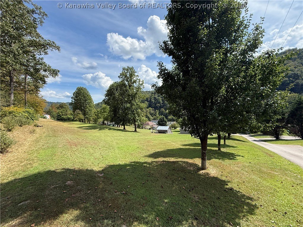 Picture 7