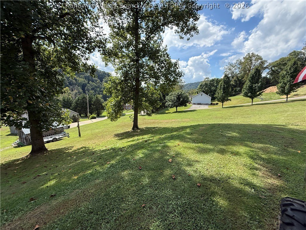 Picture 12