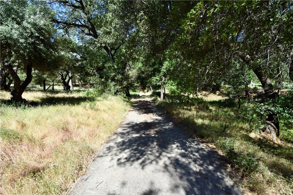 Picture 24