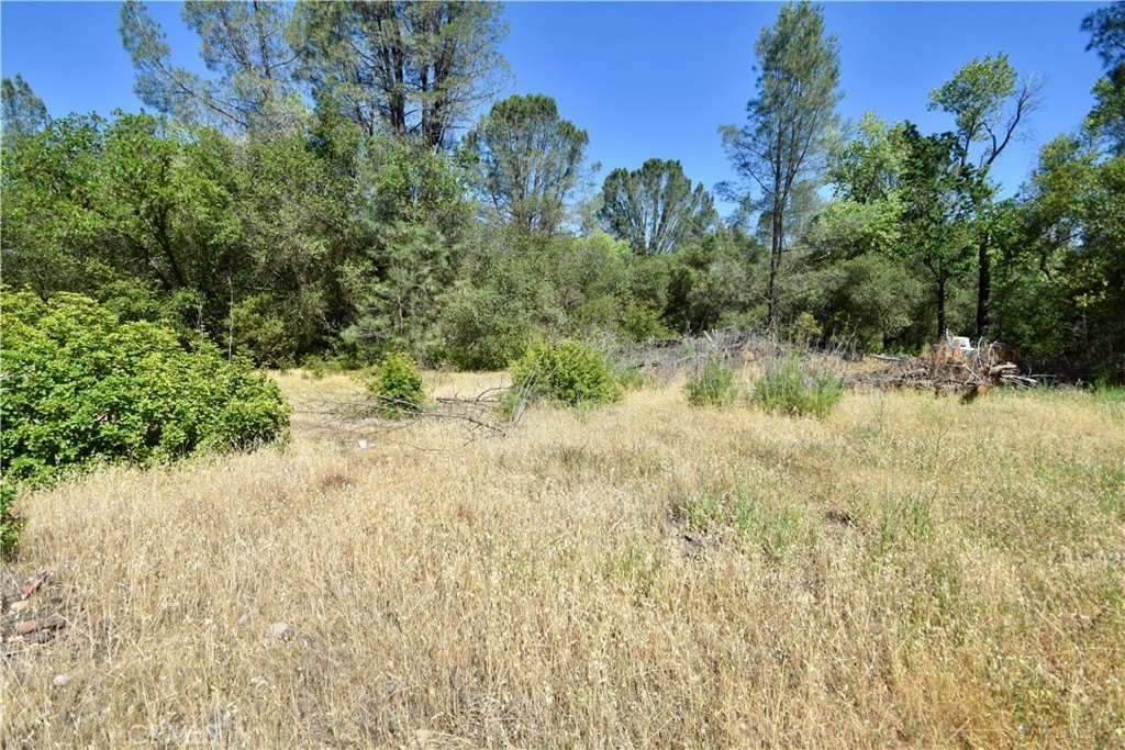 Picture 18