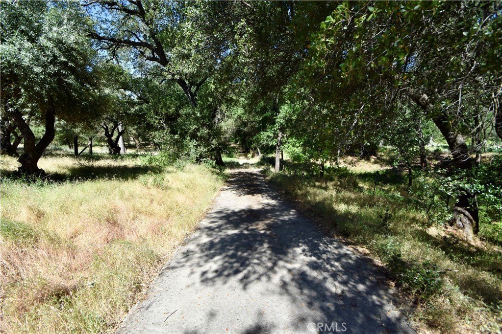 Picture 23