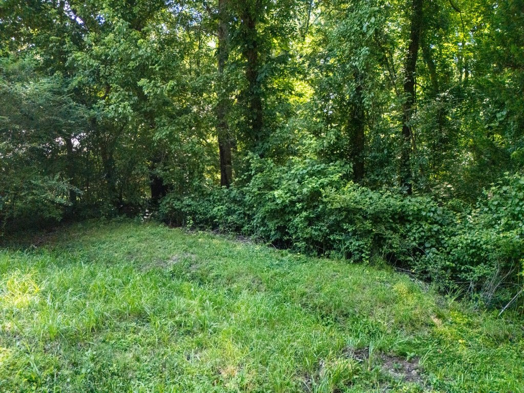 Picture 17