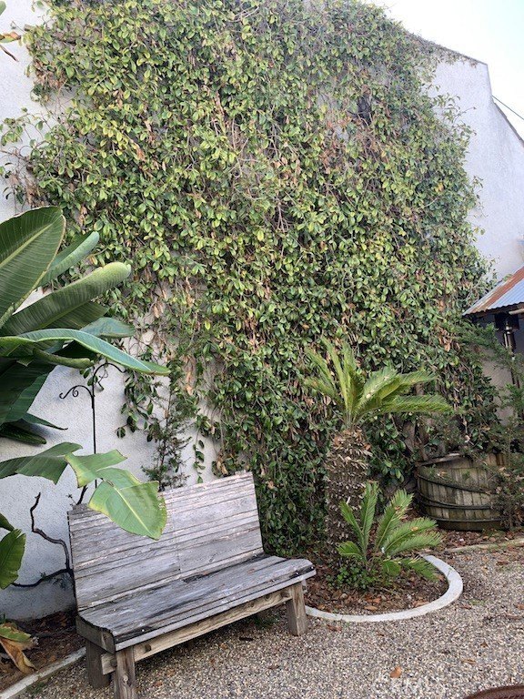 Picture 22