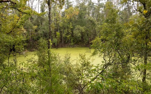 Vacant Land, Live Oak, FL
