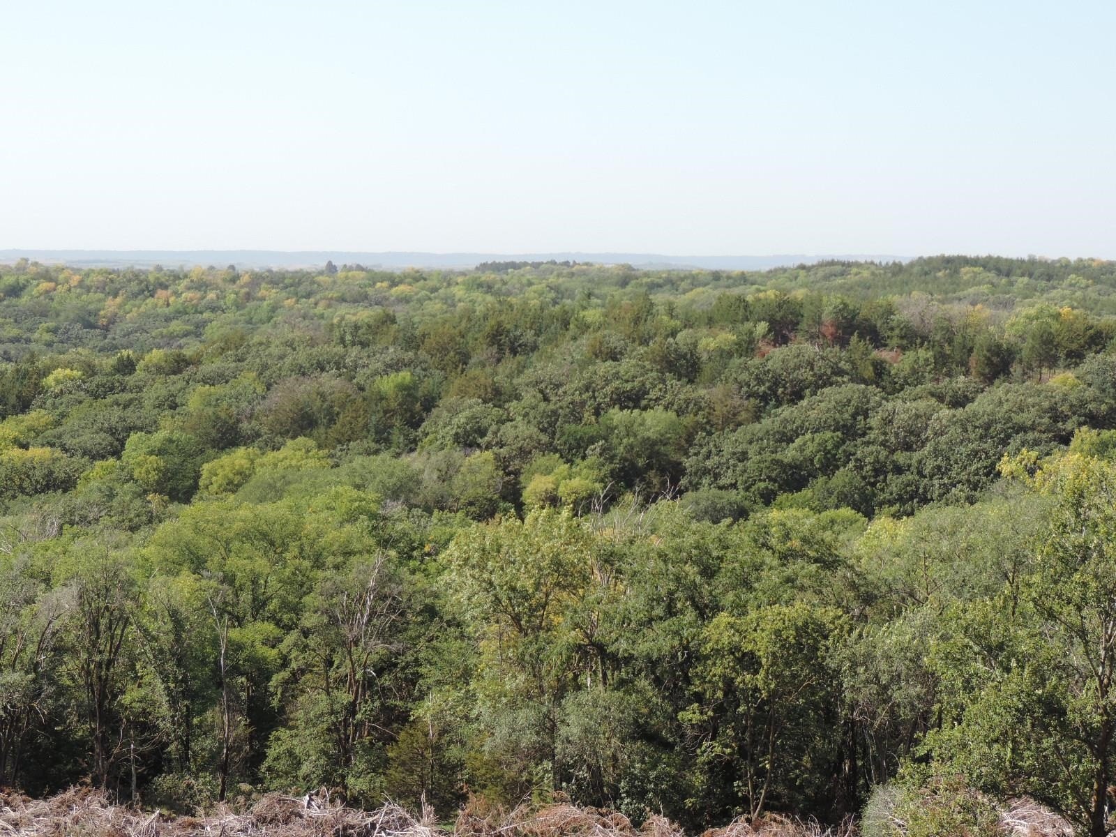 Yankton Land Near Lewis & Clark