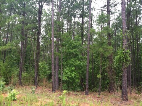 Land in Conyers, Georgia