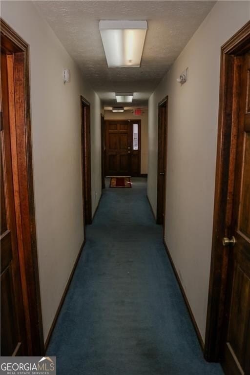Picture 19